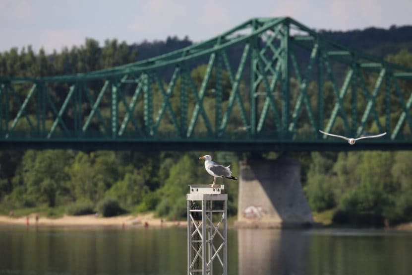 A1 Włocławek–Kowal: zablokowany prawy pas w kierunku Łodzi