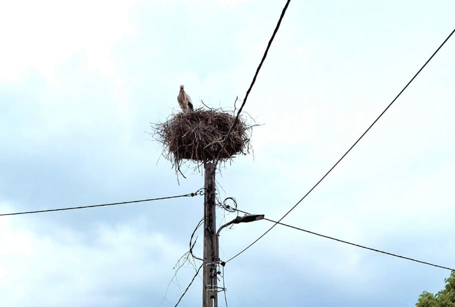 DK59 zablokowana w Brejdynach po zderzeniu. Kiedy droga będzie przejezdna?