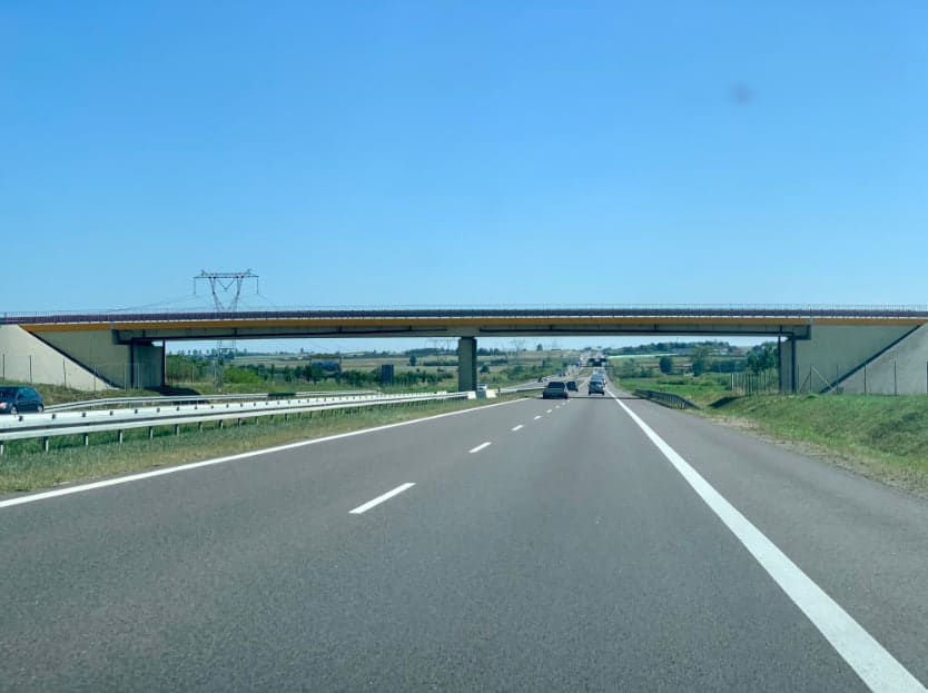 Silny wiatr uderzył w kierowców. Uszkodzone oznakowanie nad S12/S17 i powalone drzewa