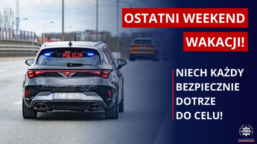 Punkty karne na koniec wakacji. Za te wykroczenia kierowca może szybko stracić prawo jazdy